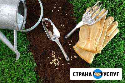 Газон/ландшафт/благоустройство/озеленение Тольятти