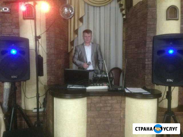 Живая музыка на свадьбу или торжество Елизаветинское - изображение 1
