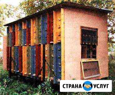 Кассетный пчелопавильон с пыльцесборниками Белебей
