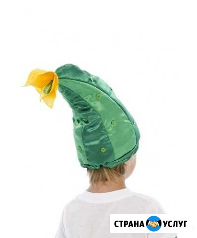 Прокат костюма Огурец Санкт-Петербург - изображение 1