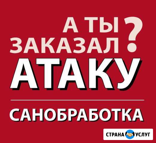 Санобработка в Тольятти и пригороде Тольятти - изображение 1