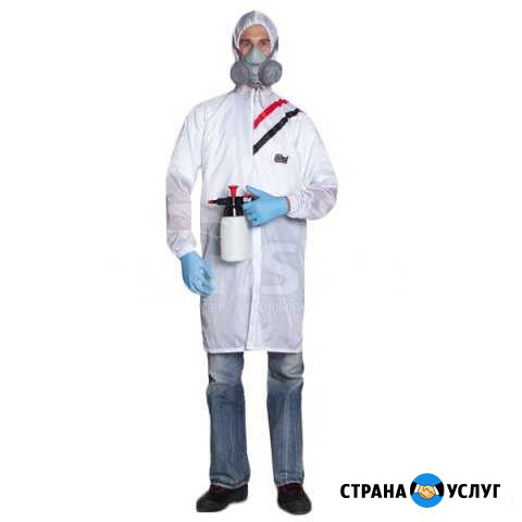Дезинфекция Орехово-Зуево - изображение 1