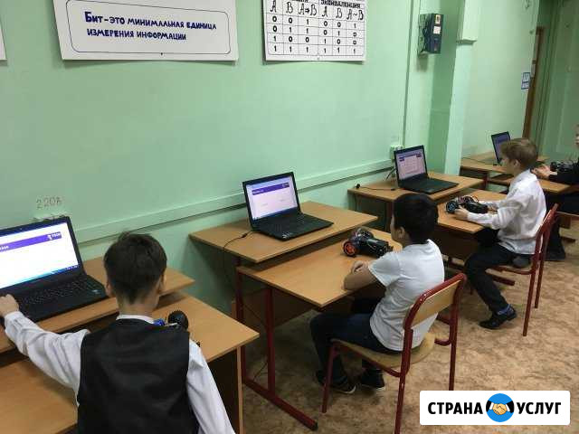 Репетитор Информатика Раменское - изображение 1