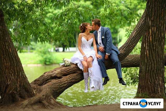 Фотограф и Видеограф на торжество Котельники - изображение 1