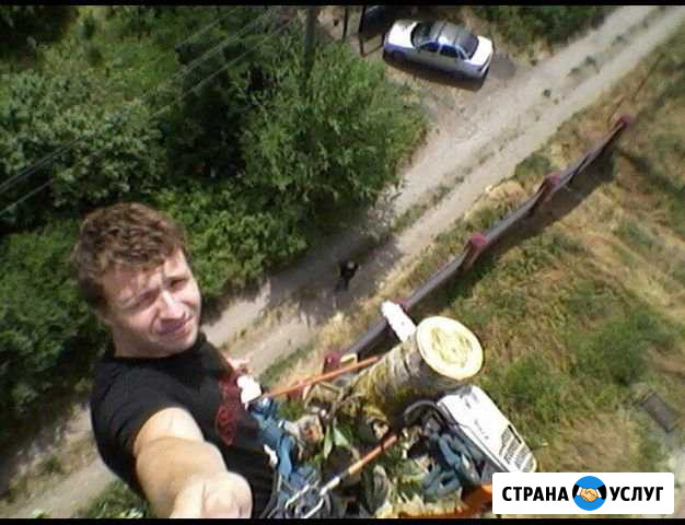 Спил деревьев,уборка участков,покос травы,вывоз Ростов-на-Дону - изображение 1