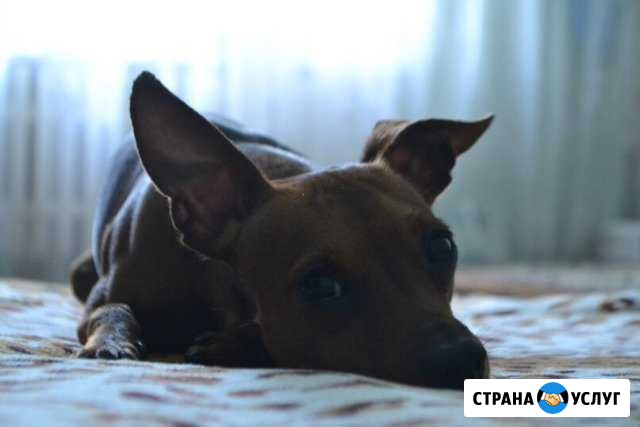 Вязка Тамбов - изображение 1