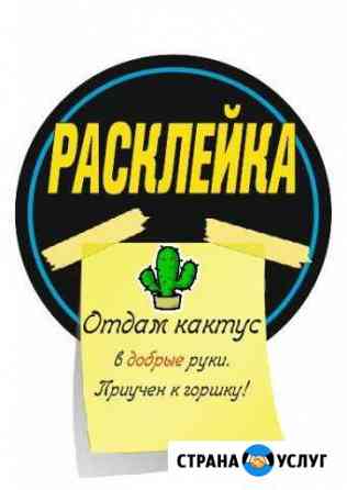Расклейка объявлений. Распространение листовок Новосибирск