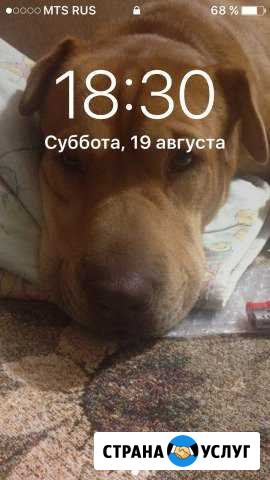 Мастер на час Лобня - изображение 1