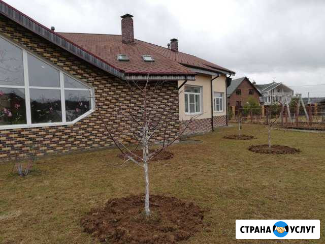 Плодоводство: посадка, обрезка и пр Москва - изображение 1