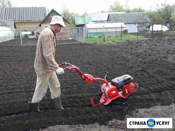 Сдам во временное пользование культиватор Пестравка