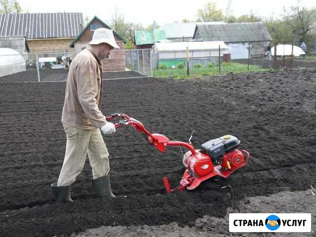 Сдам во временное пользование культиватор Пестравка - изображение 1