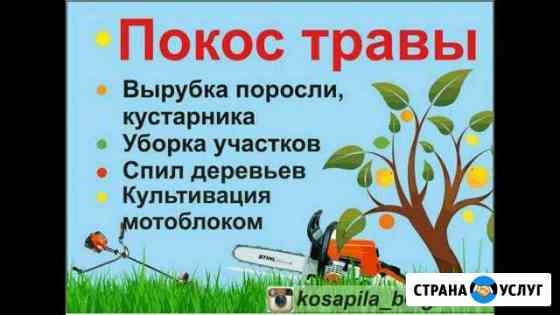 Уборка дачи,покос травы,Спил деревьев,вывоз Курск