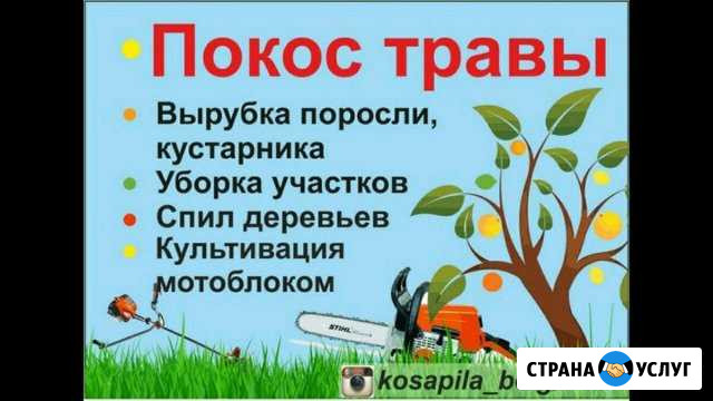 Уборка дачи,покос травы,Спил деревьев,вывоз Курск - изображение 1