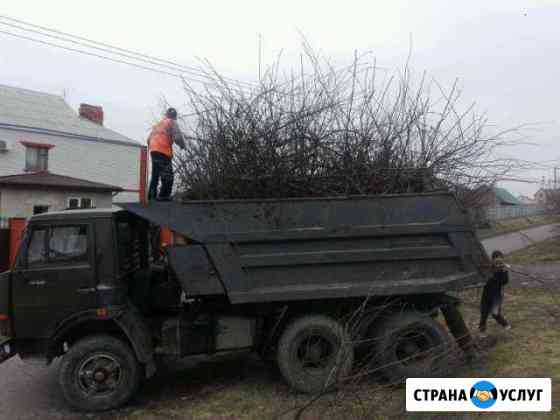 Вывоз мусора Белгород