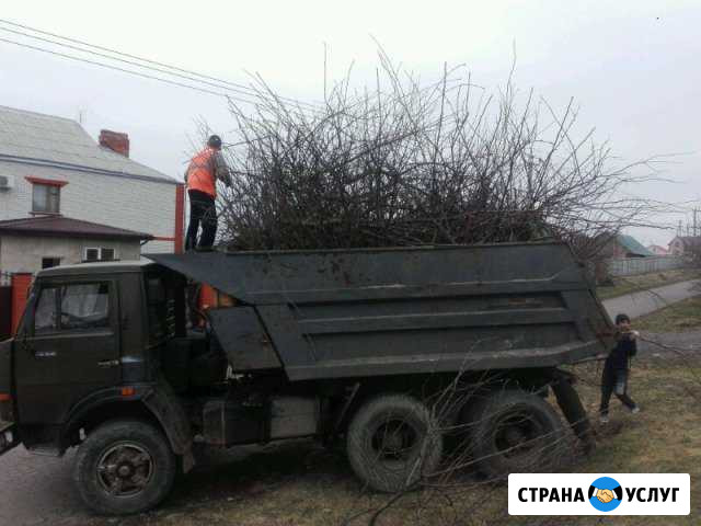 Вывоз мусора Белгород - изображение 1