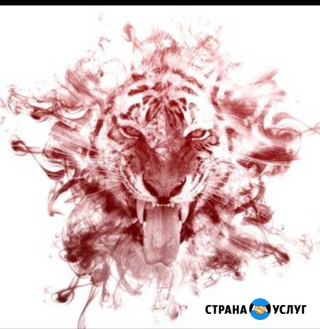 Услуги творческого характера(Сайты, оформление тп) Кемерово - изображение 1