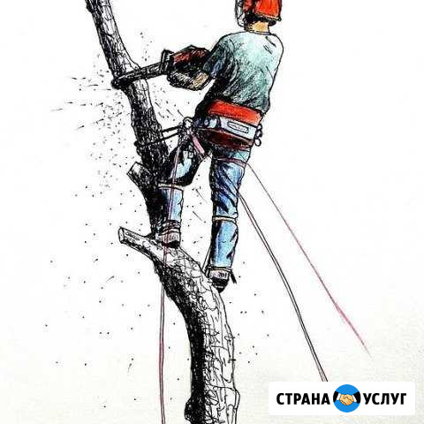 Обслуживание,удаление деревьев Лотошино - изображение 1