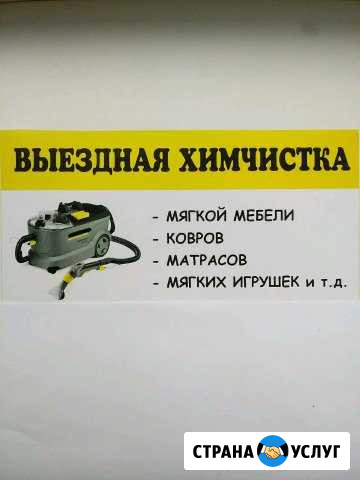 Выездная Химчистка Благодарный - изображение 1