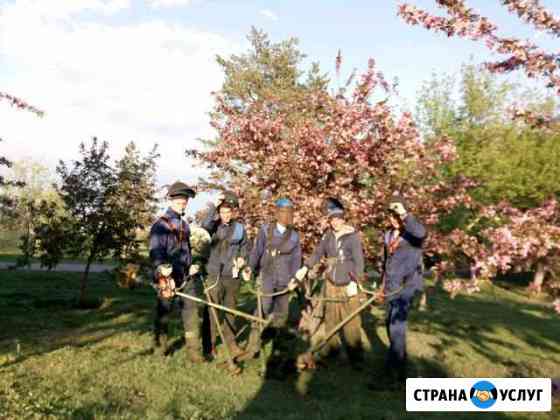 Покос травы Волгоград