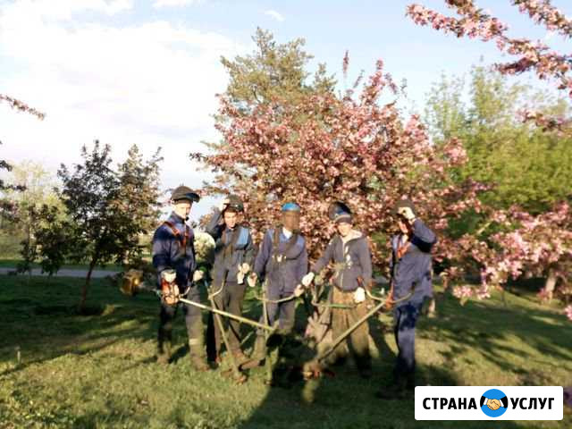 Покос травы Волгоград - изображение 1