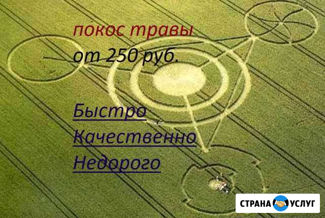 Покос травы, спил деревьев Яблоновский - изображение 1