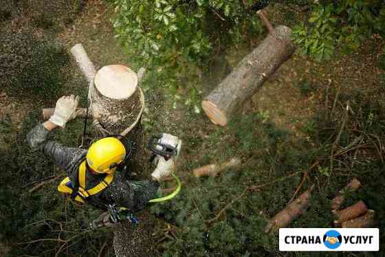 1631680m2b7d0c64 дрова в тюльках что это