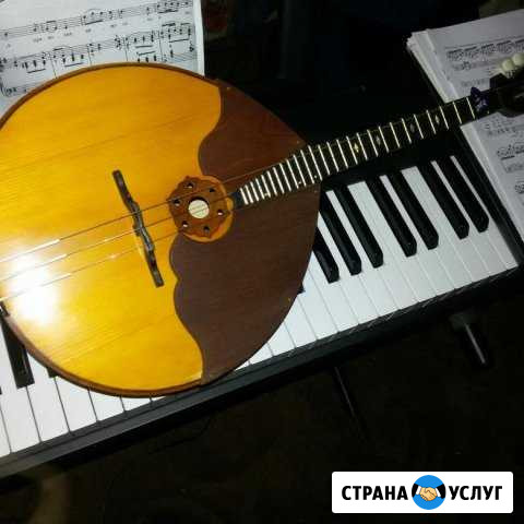 Репетитор. Домра. Сольфеджио. Фортепиано Всеволожск - изображение 1