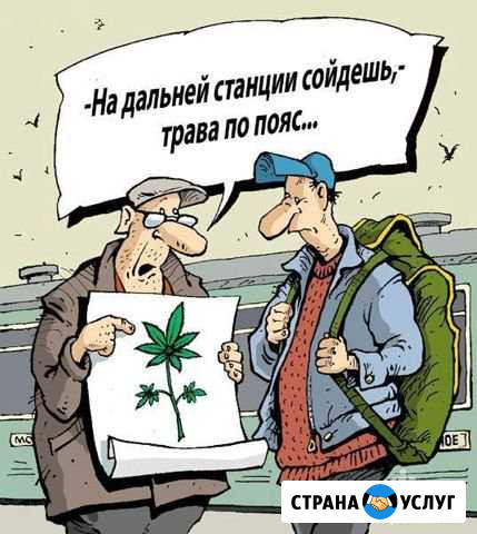 Сокос,покос,травы - мелких кустарников,триммером-б Казань - изображение 1