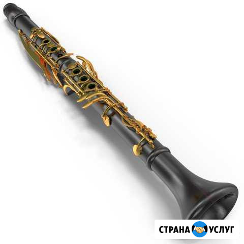Уроки игры на кларнете, саксофону, блокфлейте Нижний Новгород - изображение 1