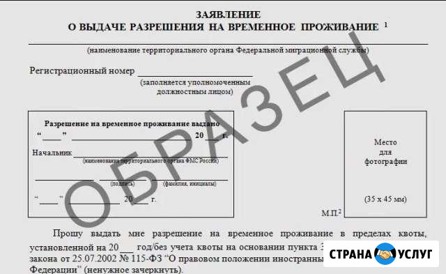 Рвп, внж, Гражданство РФ (заполнение заявлений) Троицк - изображение 1