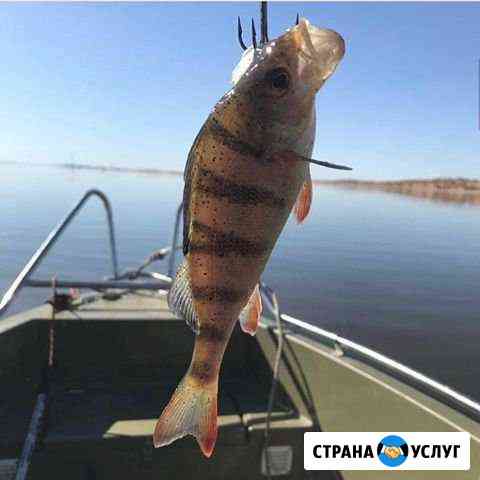 Гостевой дом для рыбалки,отдыха Камызяк