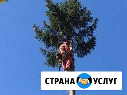Спил деревьев любой сложности Красненькая - изображение 1