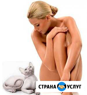 Электроэпиляция Таганрог - изображение 1