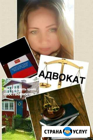Адвокат Волжский Волгоградской области - изображение 1