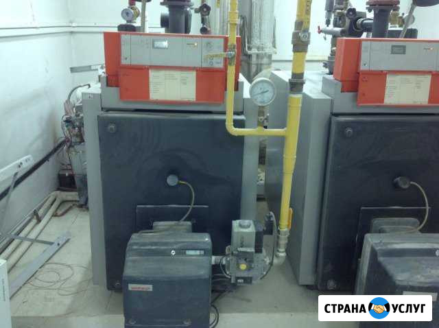 Ремонт котлов Viessmann Красногорск - изображение 1
