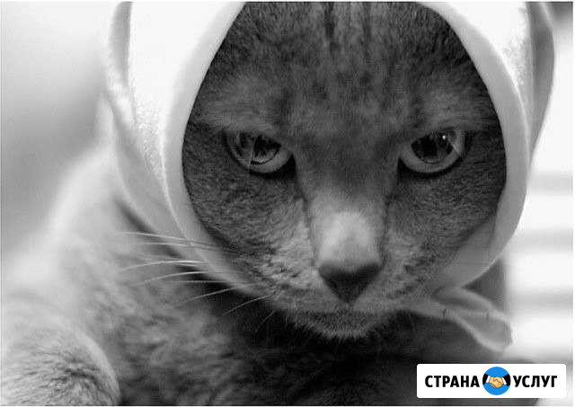 Ремонт Злектрики.Сантехники.Водопровода.Любой слож Морозовск - изображение 1