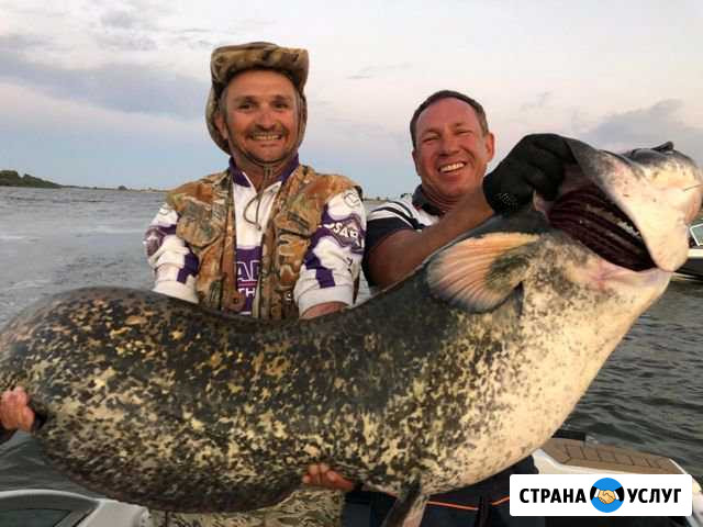 Рыболовная база Золотые пески Нариманов - изображение 1