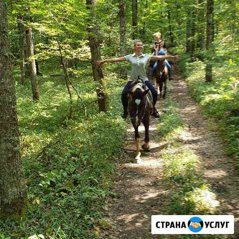 Квесты на лошадях, джиппах, болотоходе Новодмитриевская