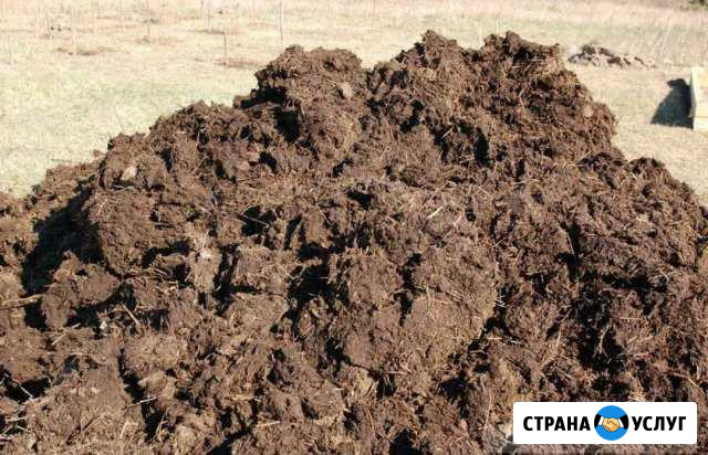 Коровий навоз Шатура - изображение 1