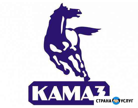 Диагностика Камаз, Маз, Газ, Shacman с выездом Лениногорск