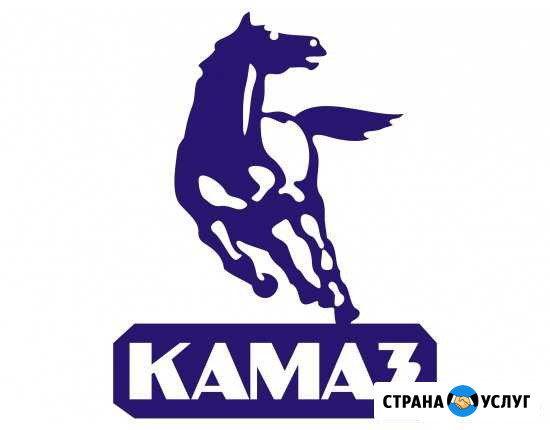 Диагностика Камаз, Маз, Газ, Shacman с выездом Лениногорск - изображение 1