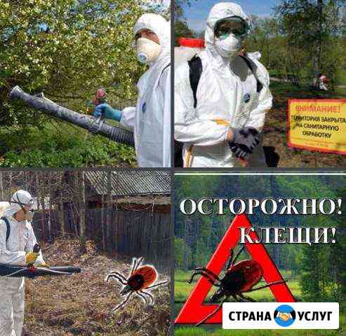 Акарицидная обработка Нижний Новгород