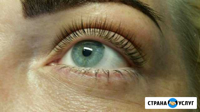 Обучение Ламинирование,Lash Botex, vilvet Сургут - изображение 1