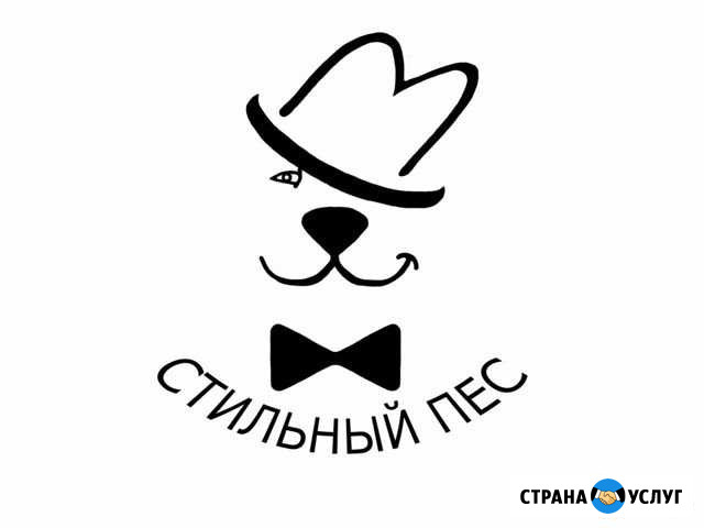 Стрижка собак и кошек Щёлково - изображение 1