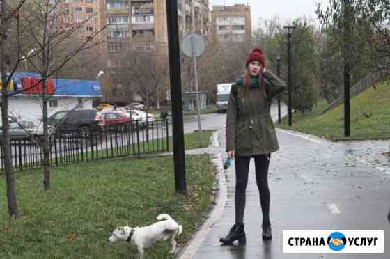 Выгул собак Москва