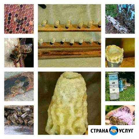 Продукты питания Чебоксары