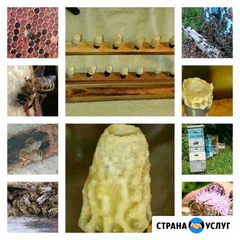 Продукты питания Чебоксары - изображение 1