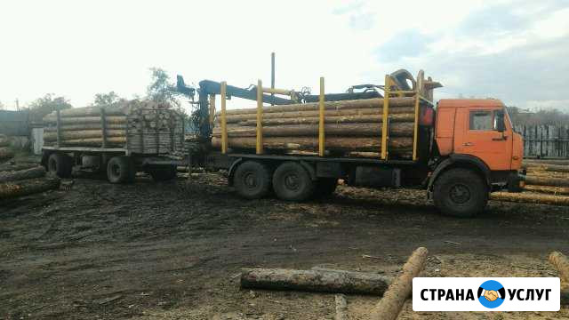 Вывозка,загрузка круглого леса Вершина Теи - изображение 1