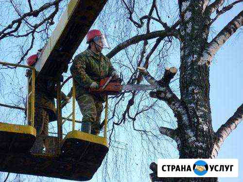 Опиловка, валка деревьев,покос травы Липецк