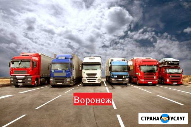 Грузоперевозки по России Воронеж - изображение 1